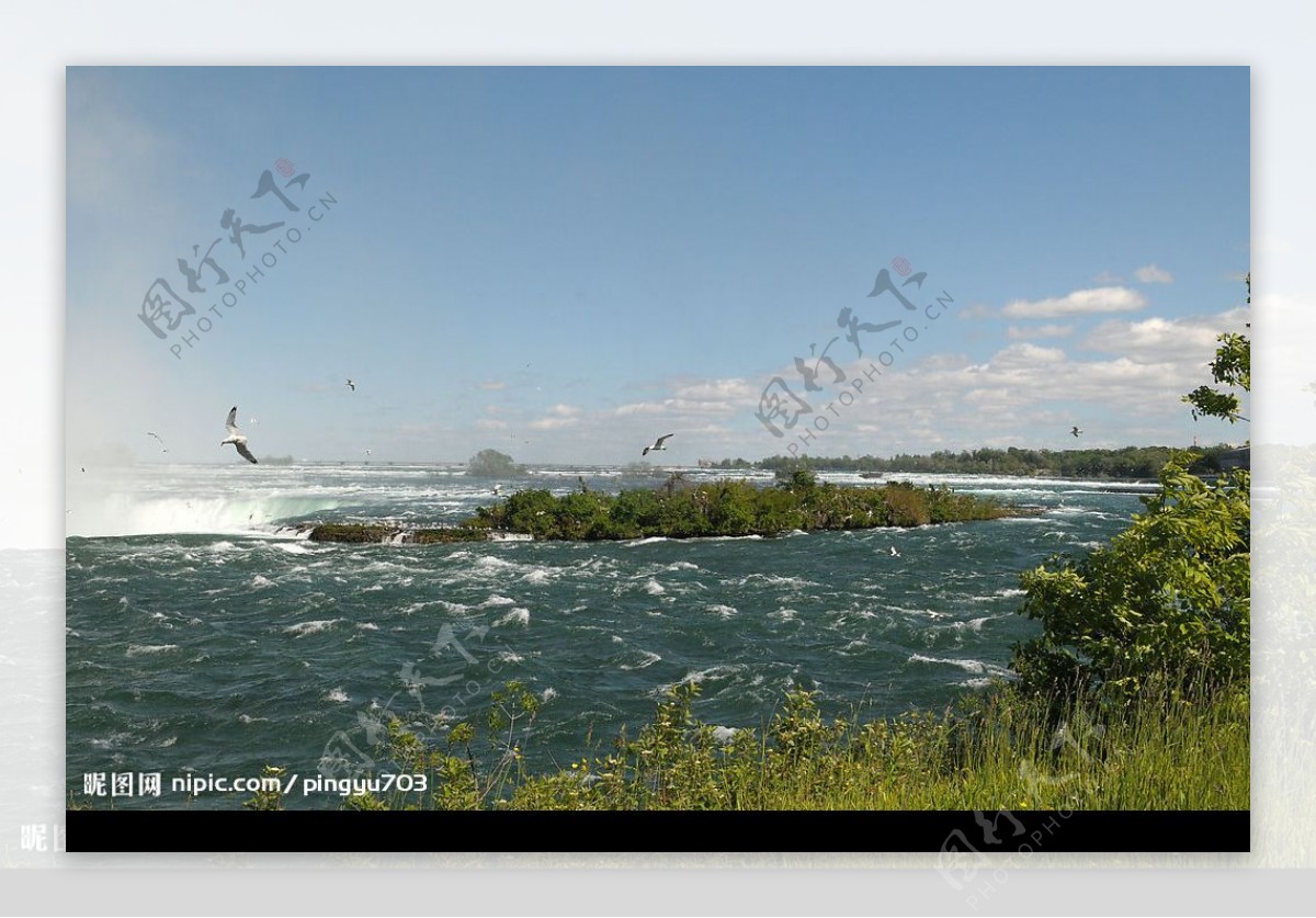 加拿大尼亚加拉大瀑布上的海鸥图片