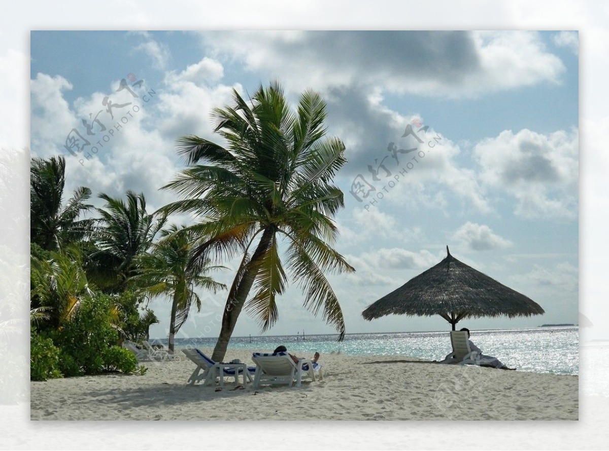 海滩和椰子树图片