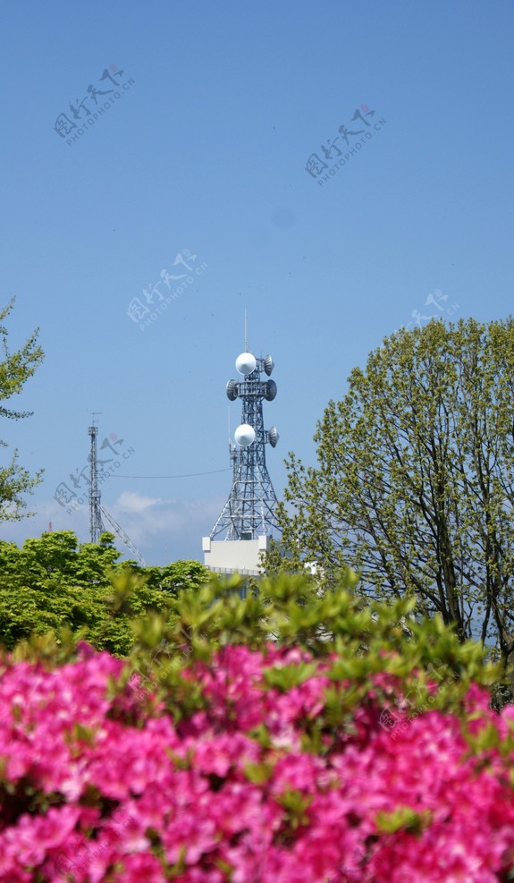 五棱郭风景图片