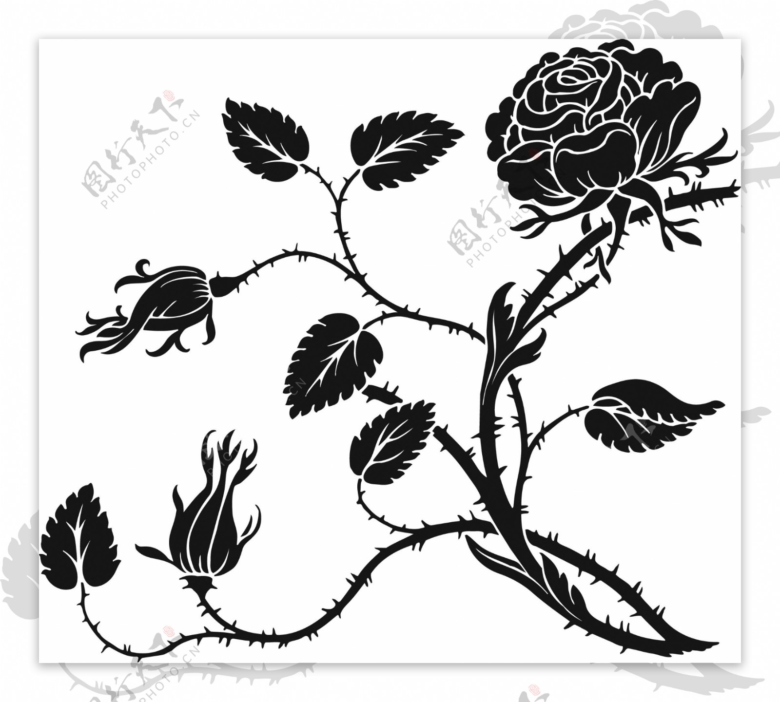 黑白花卉图案图片