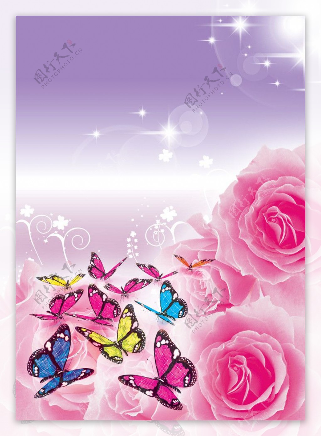 蝶恋花图片素材 编号 图行天下