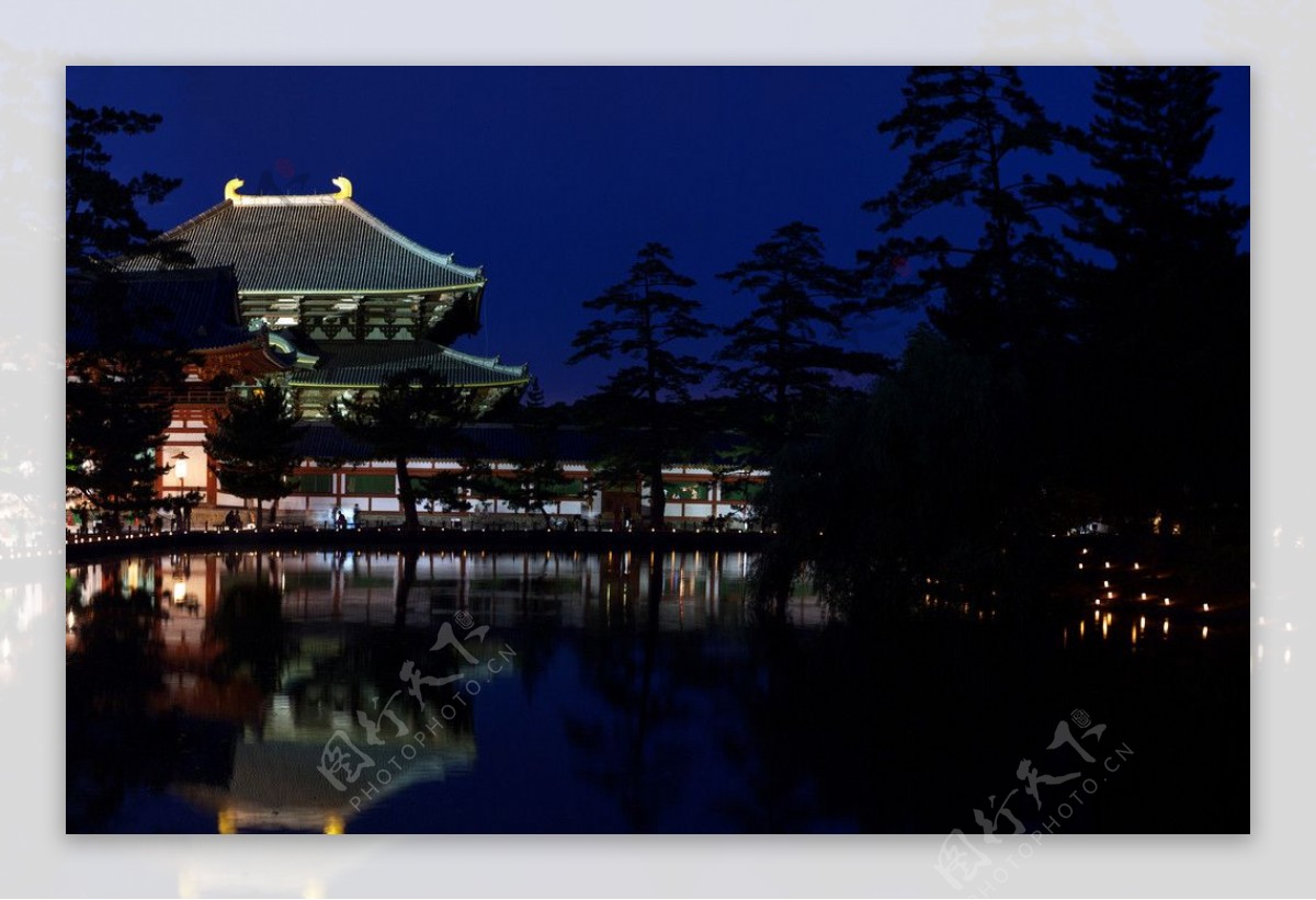 奈良公园的夜景图片