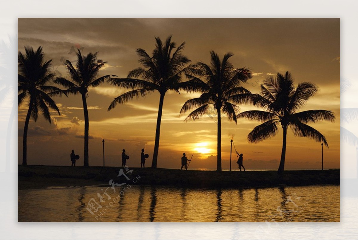 夕阳下曼妙婆娑的南洋黄昏图片