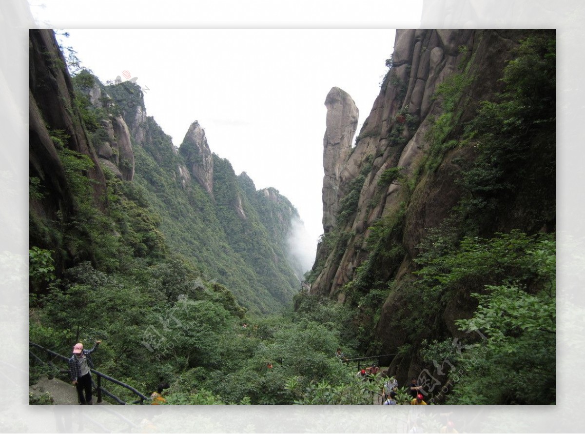 三清山莽蛇出山图片