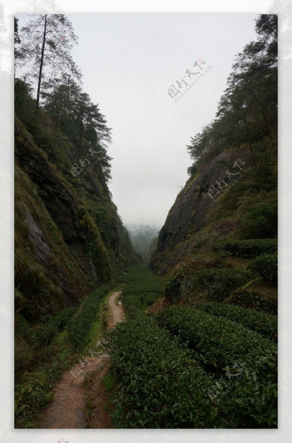 武夷山图片