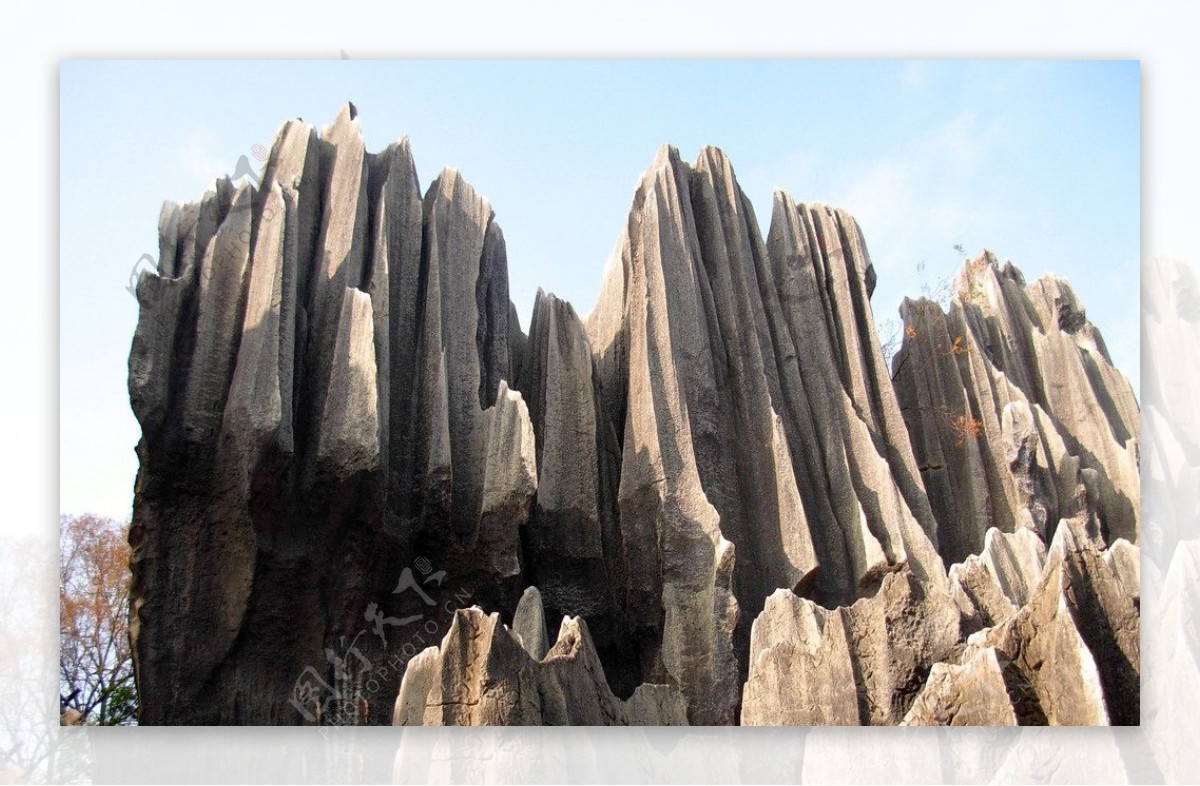 云南石林的石头图片