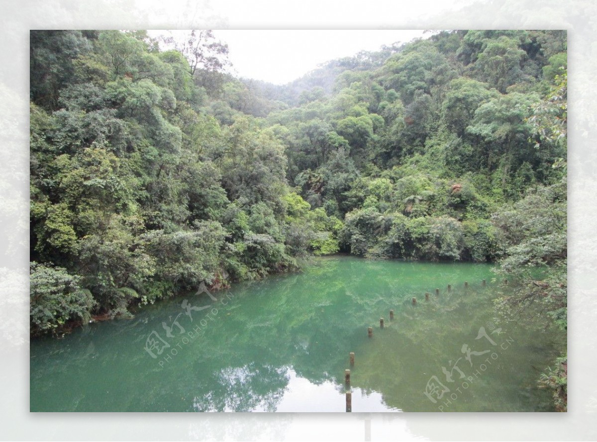 鼎湖山图片