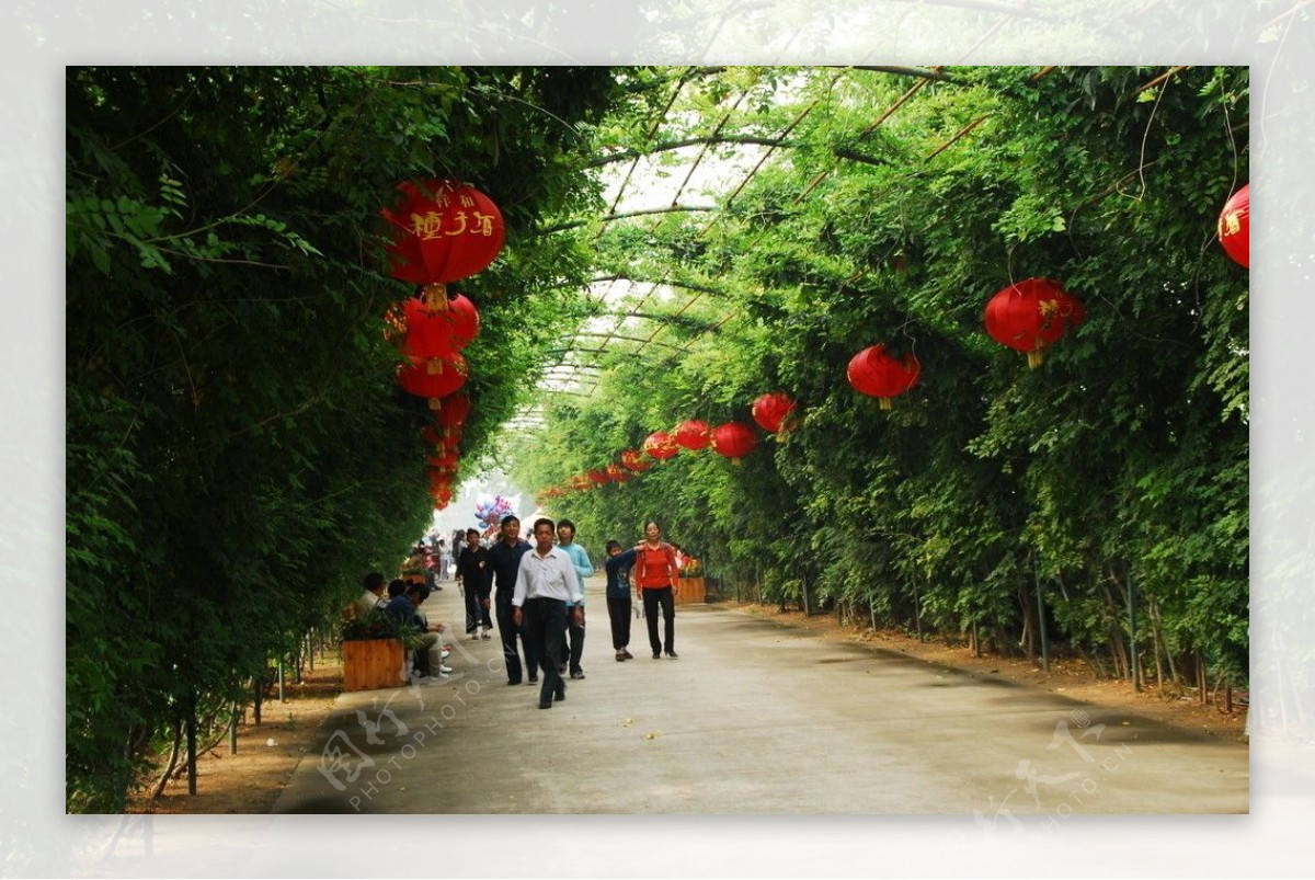 许昌禹州植物园景观图片