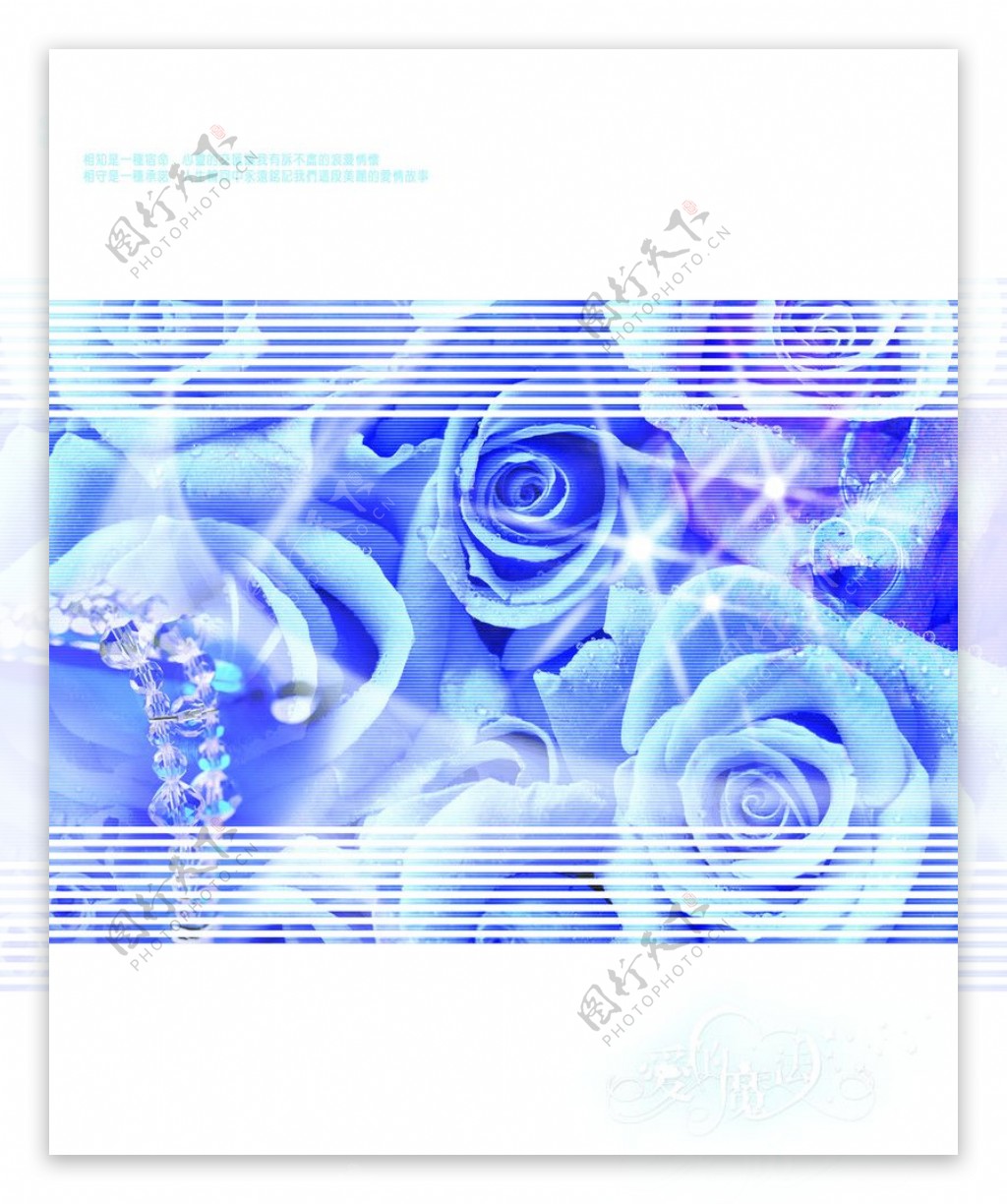 蓝色的玫瑰图片