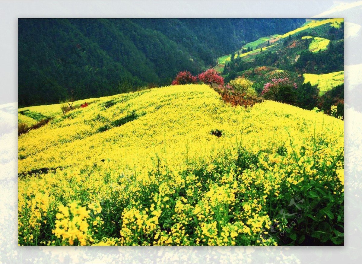 九寨沟风景图片