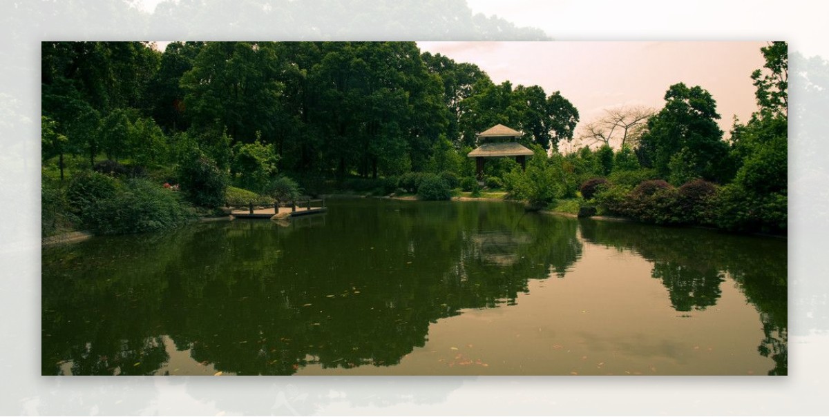 广州华南植物园一角图片