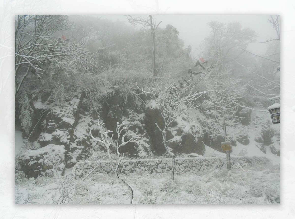 金佛山雪景图片