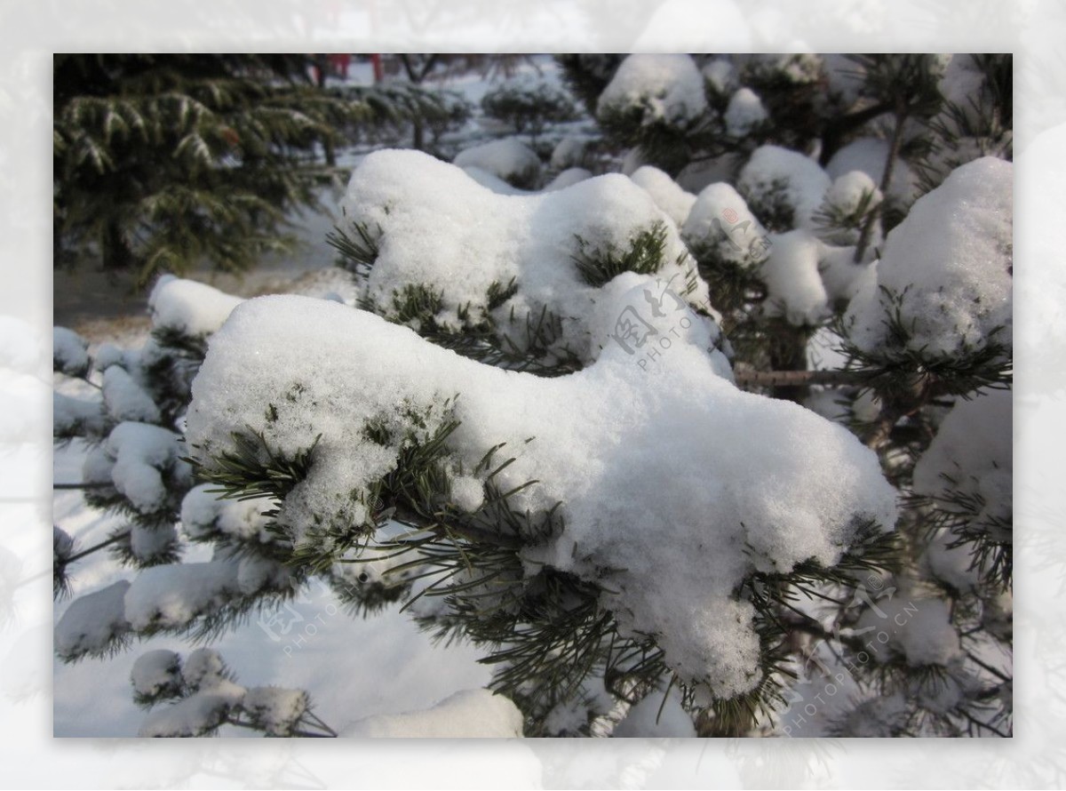 雪景图片