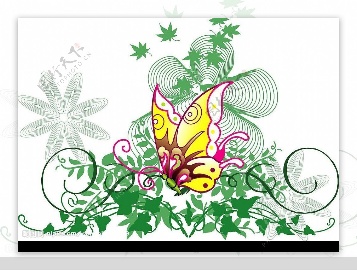 蝴蝶与植物花纹矢量素材图片