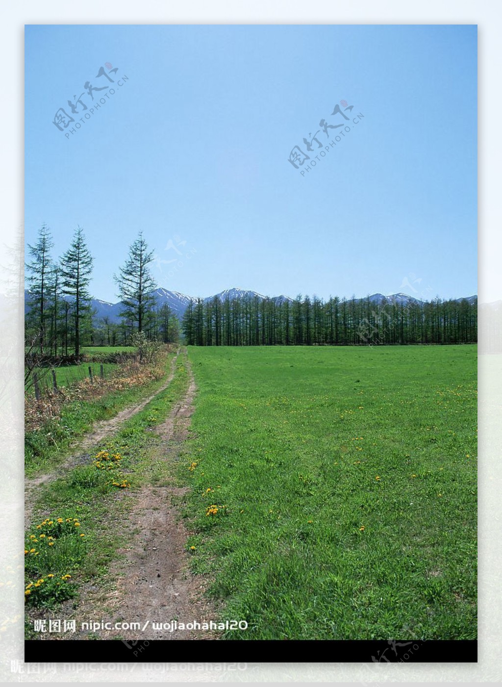 道路风景图片