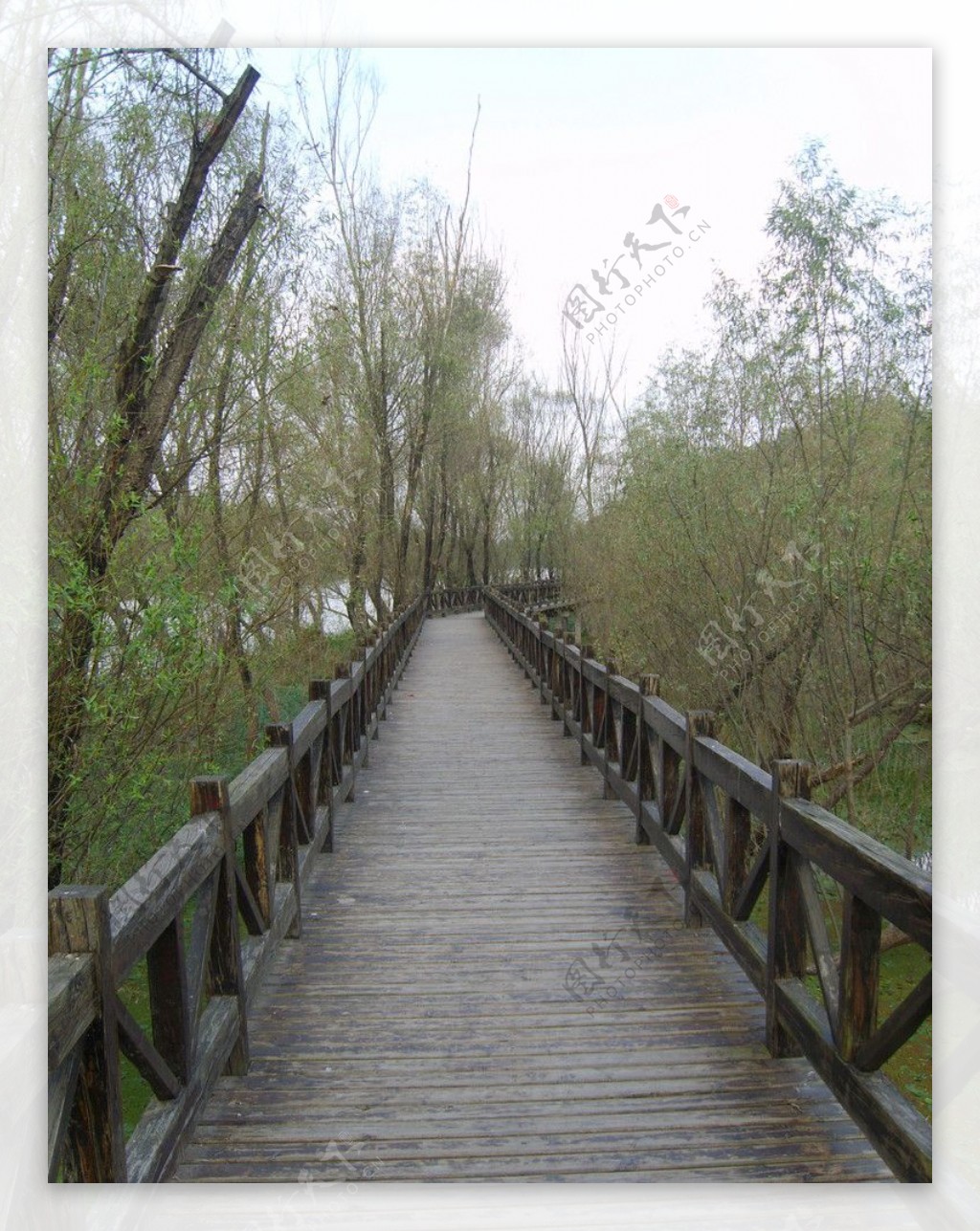 森林中河上的木桥风景名胜免费下载_jpg格式_3384像素_编号41874893-千图网