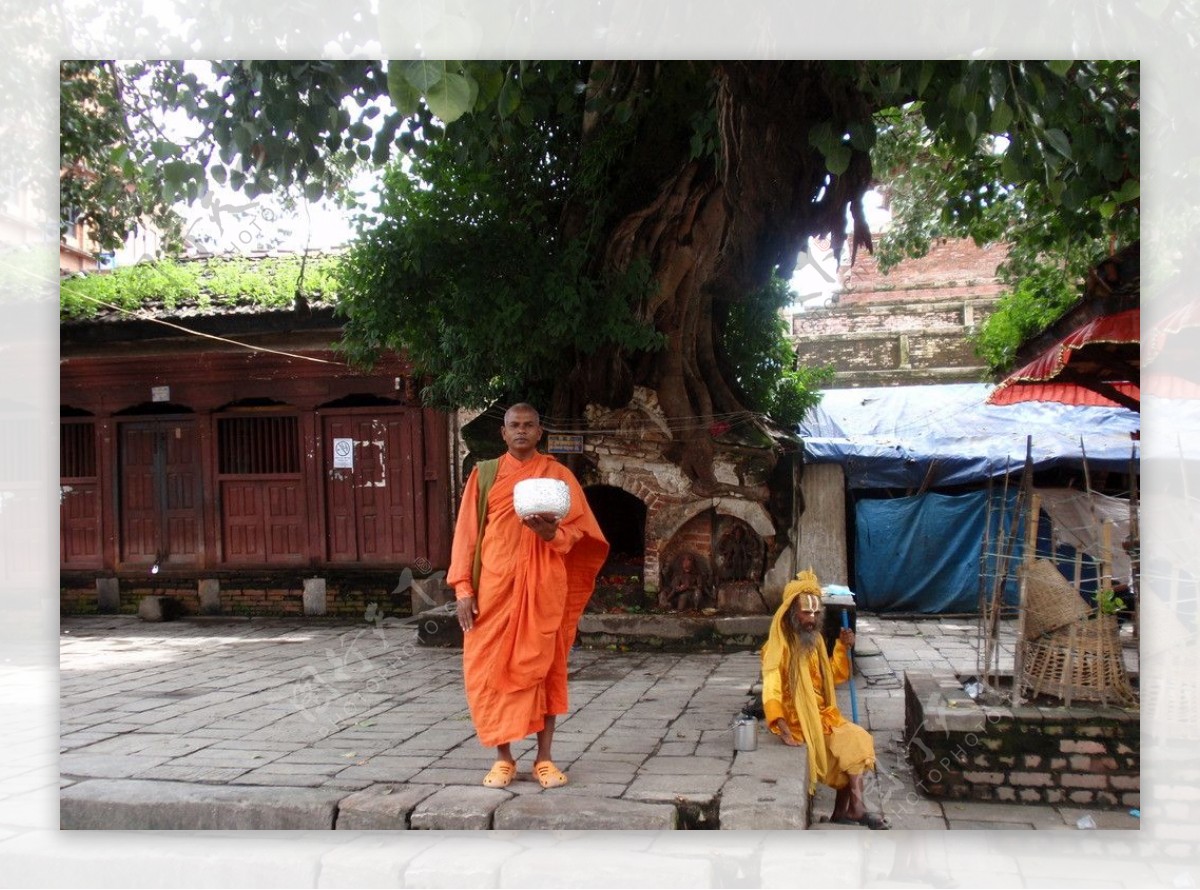 尼泊尔菩提树下的托钵图片