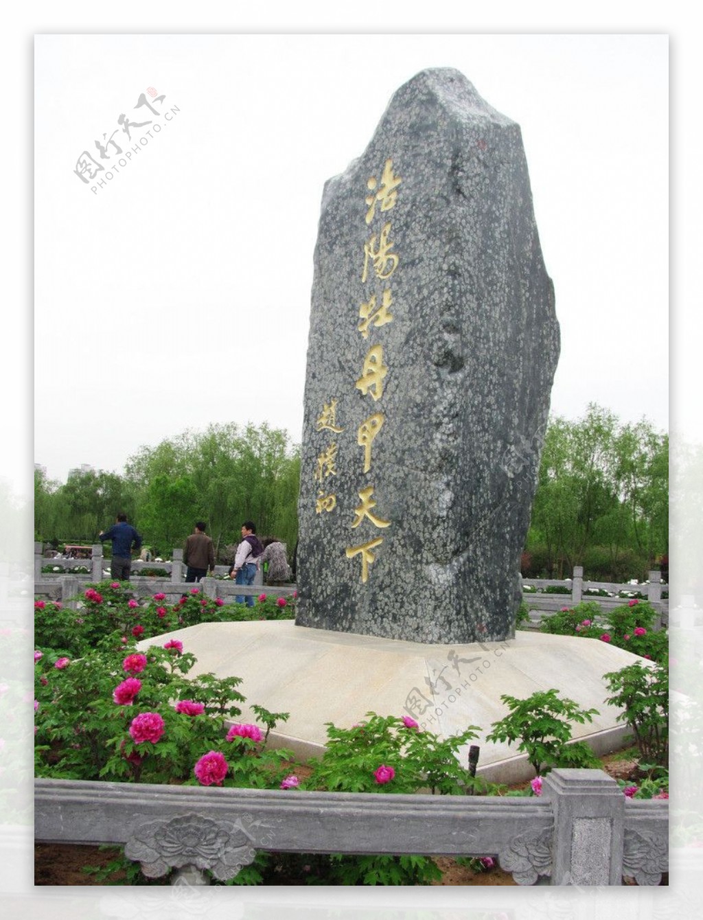 洛阳牡丹园石碑图片
