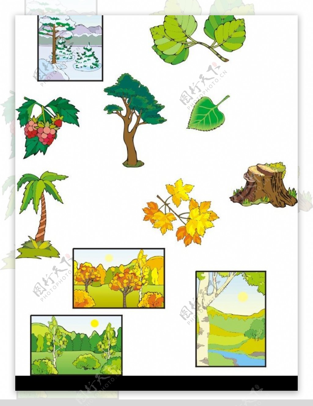 矢量树木及树叶图片