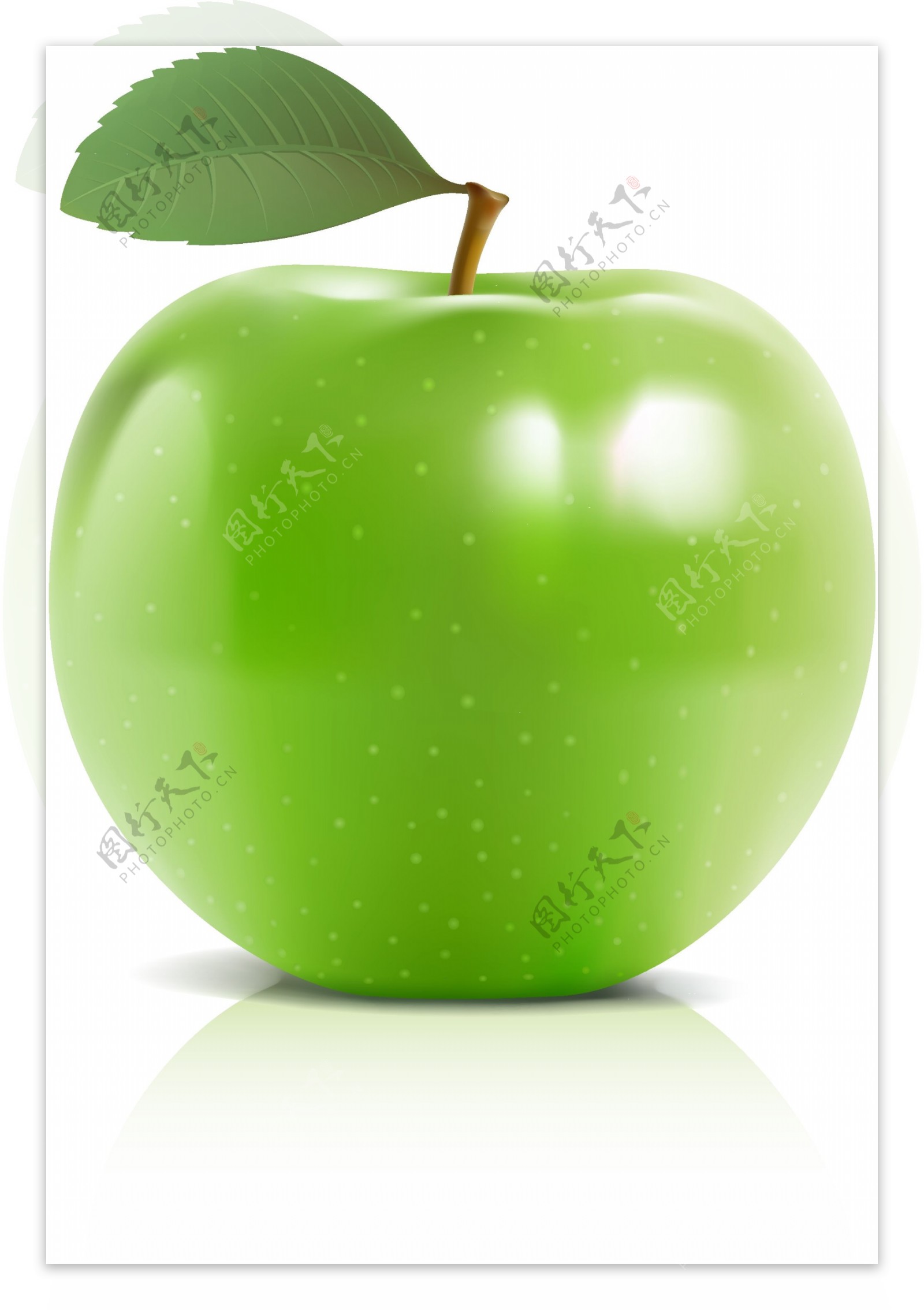 矢量绿苹果图片