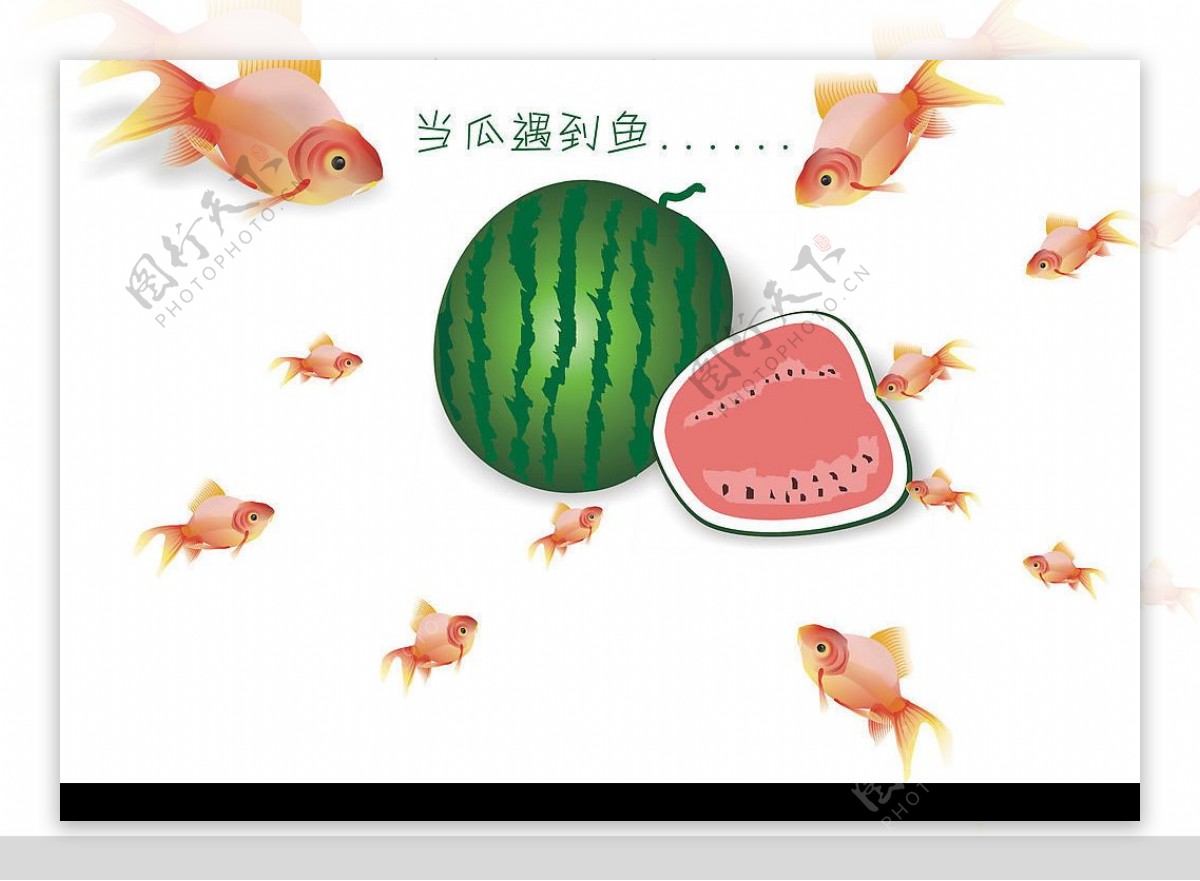 鱼和西瓜原创图片