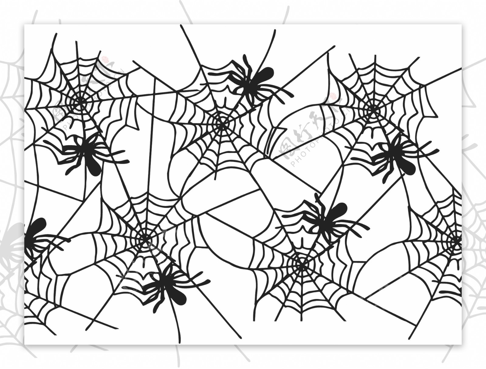 AI矢量蜘蛛蜘蛛网图片