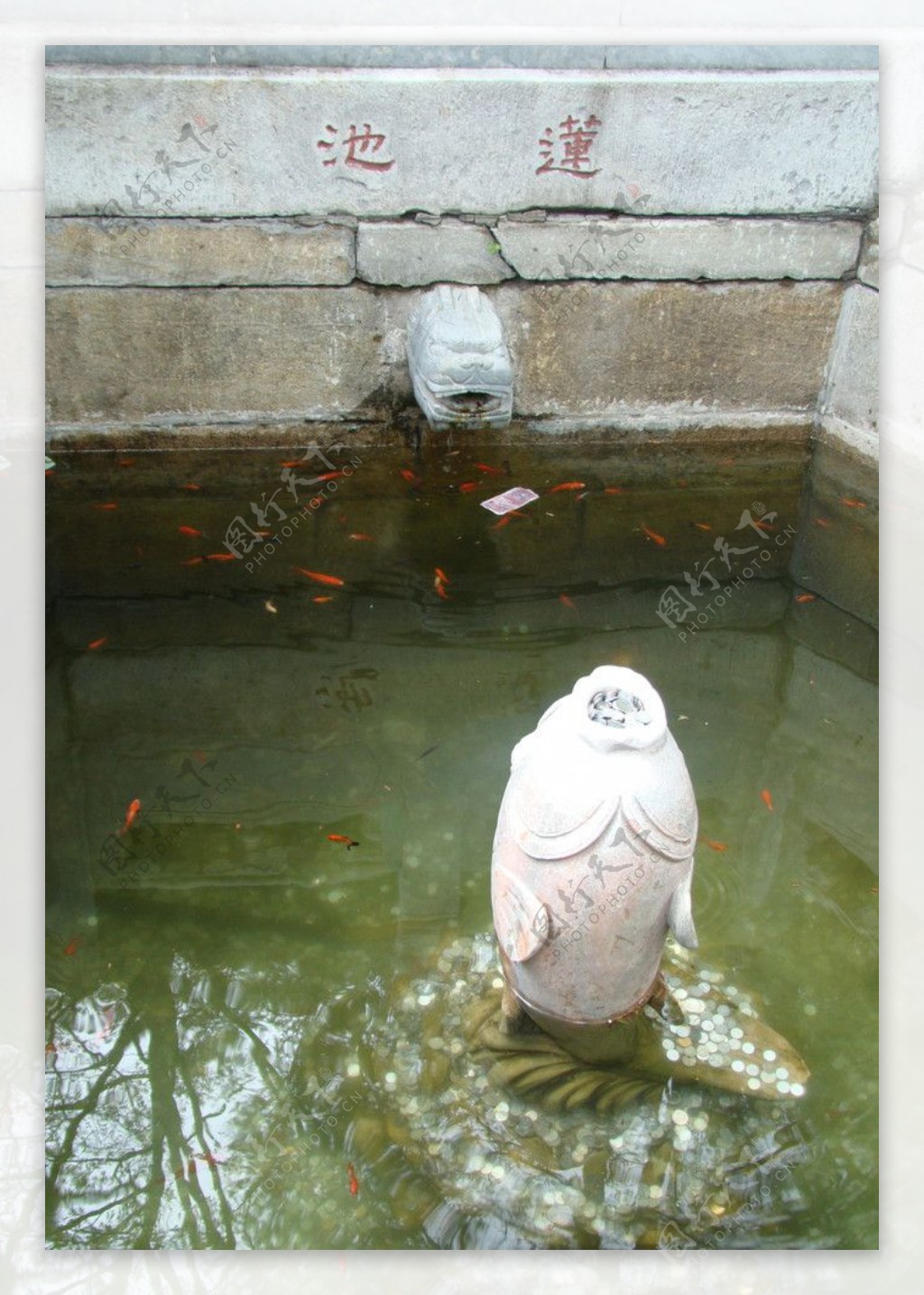 潭柘寺的放生池图片