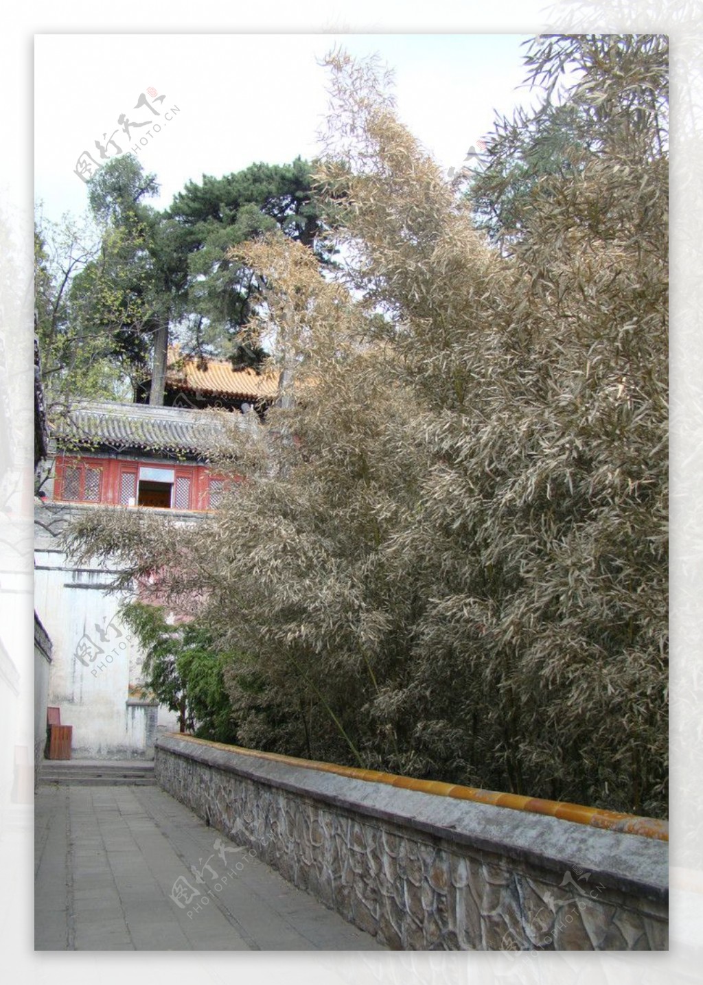 潭柘寺的竹林走廊图片