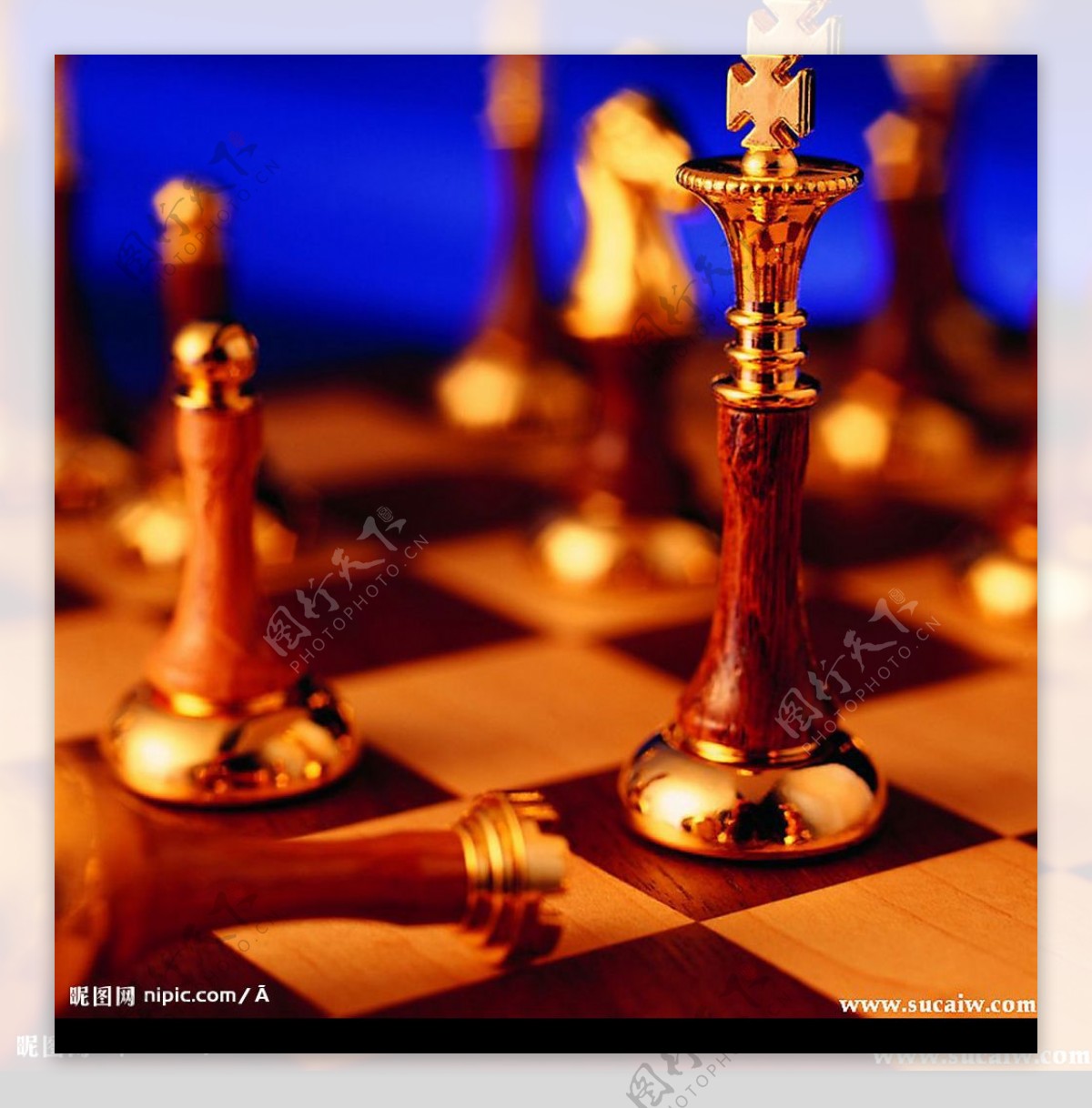 国际象棋图片素材-编号39025820-图行天下