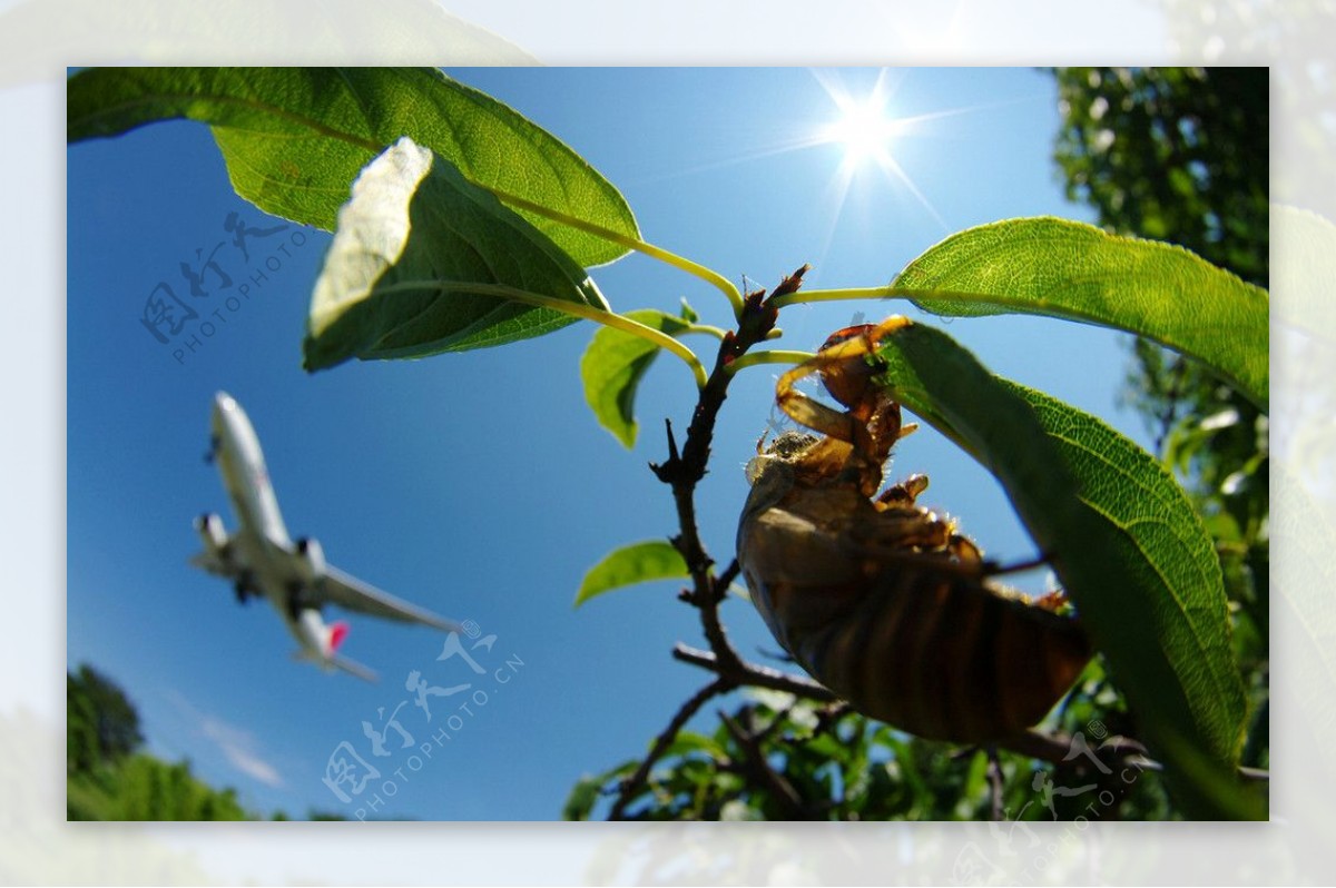 空港之夏图片