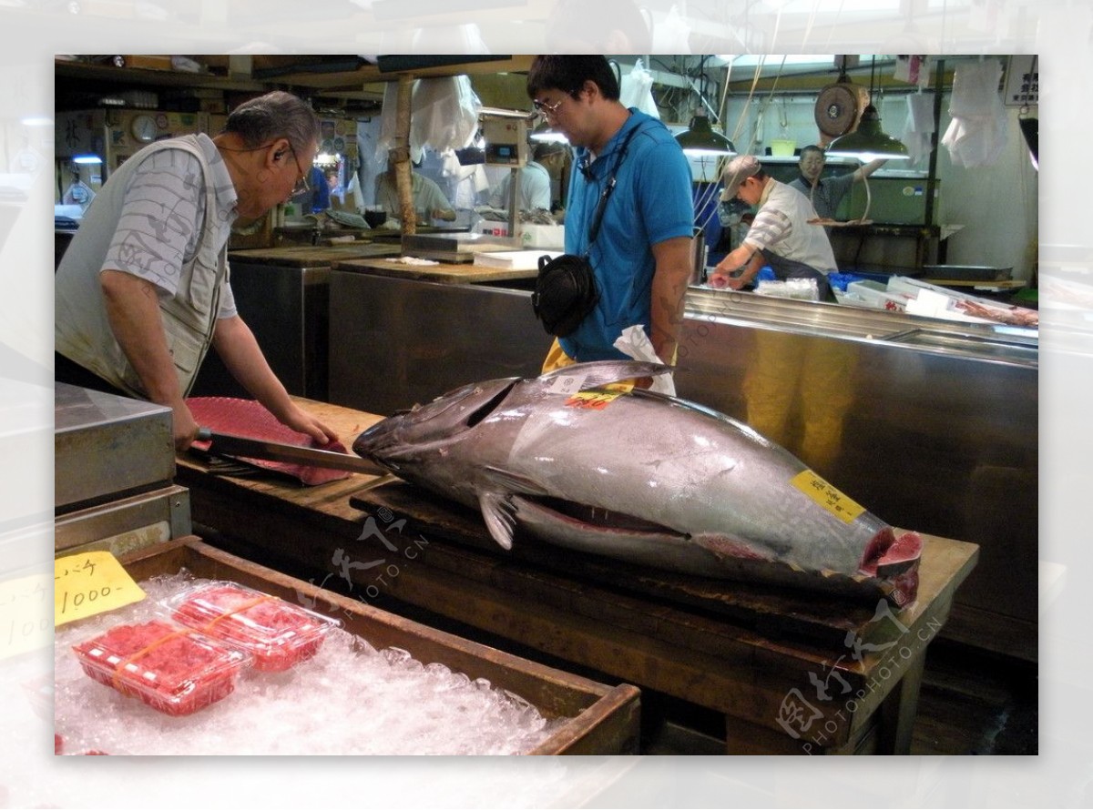 築地魚市場鮪魚图片