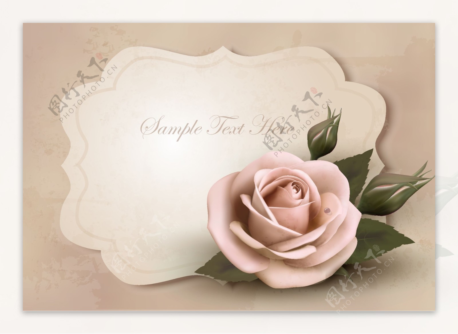 玫瑰花装饰卡片图片