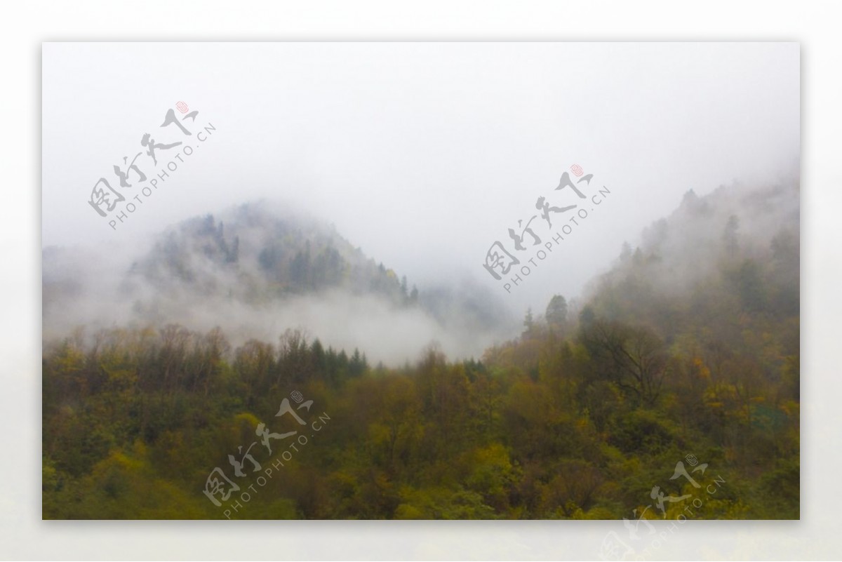 山谷中的晨雾图片