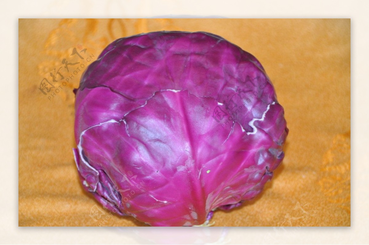 紫色包心菜图片