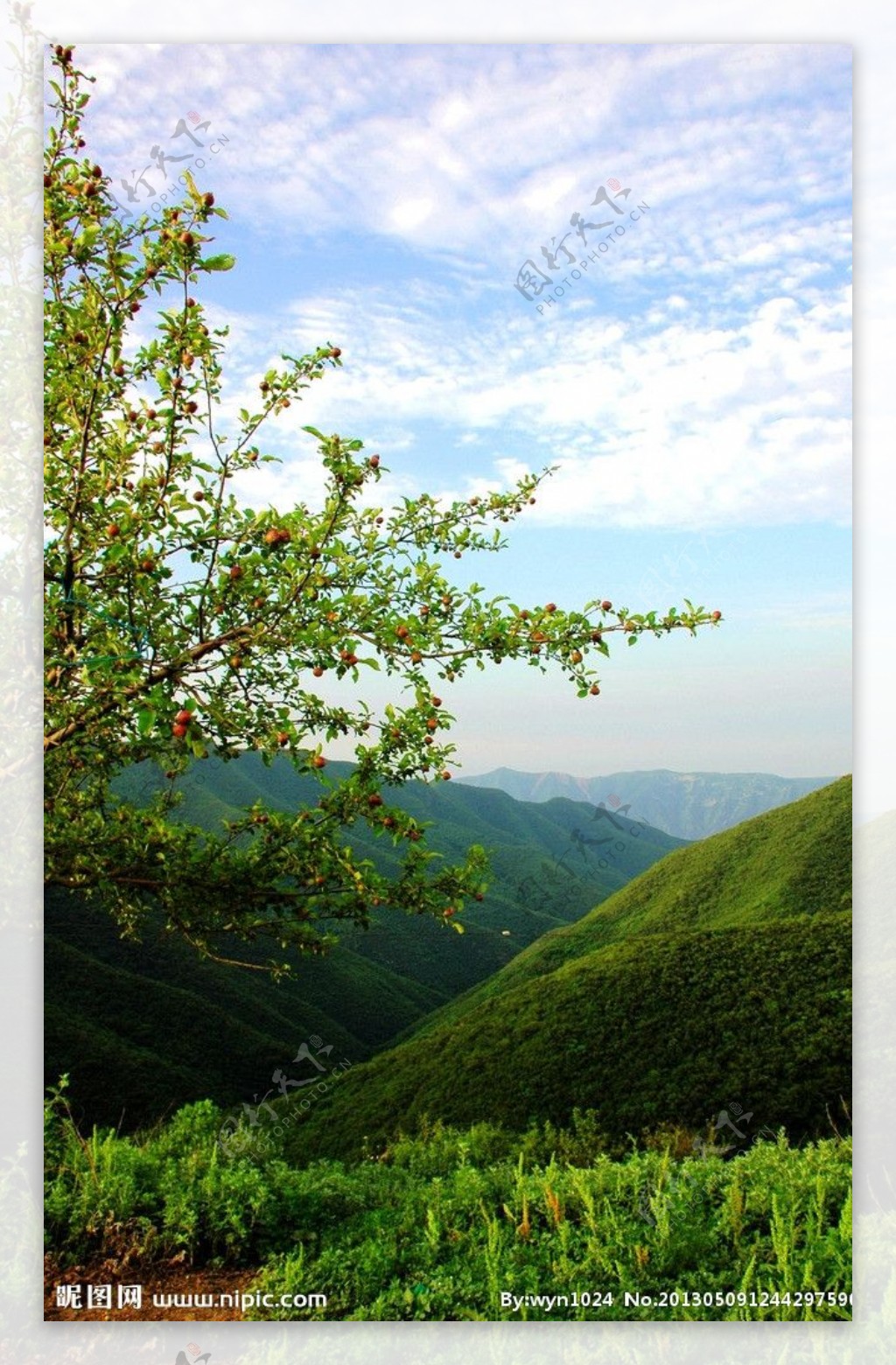 大山深处好风光图片