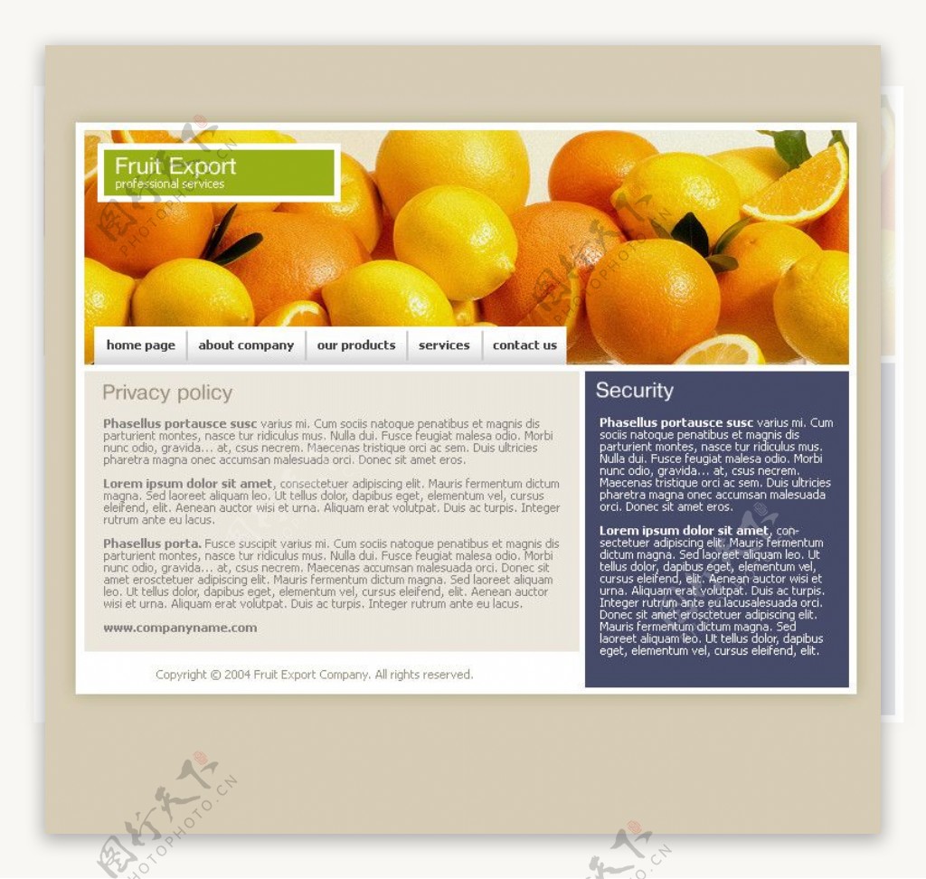 欧美水果网页图片