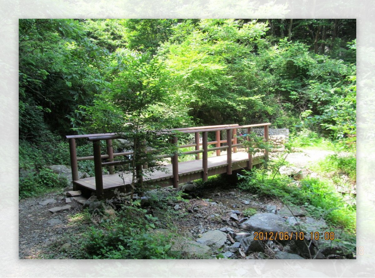 林中木桥图片