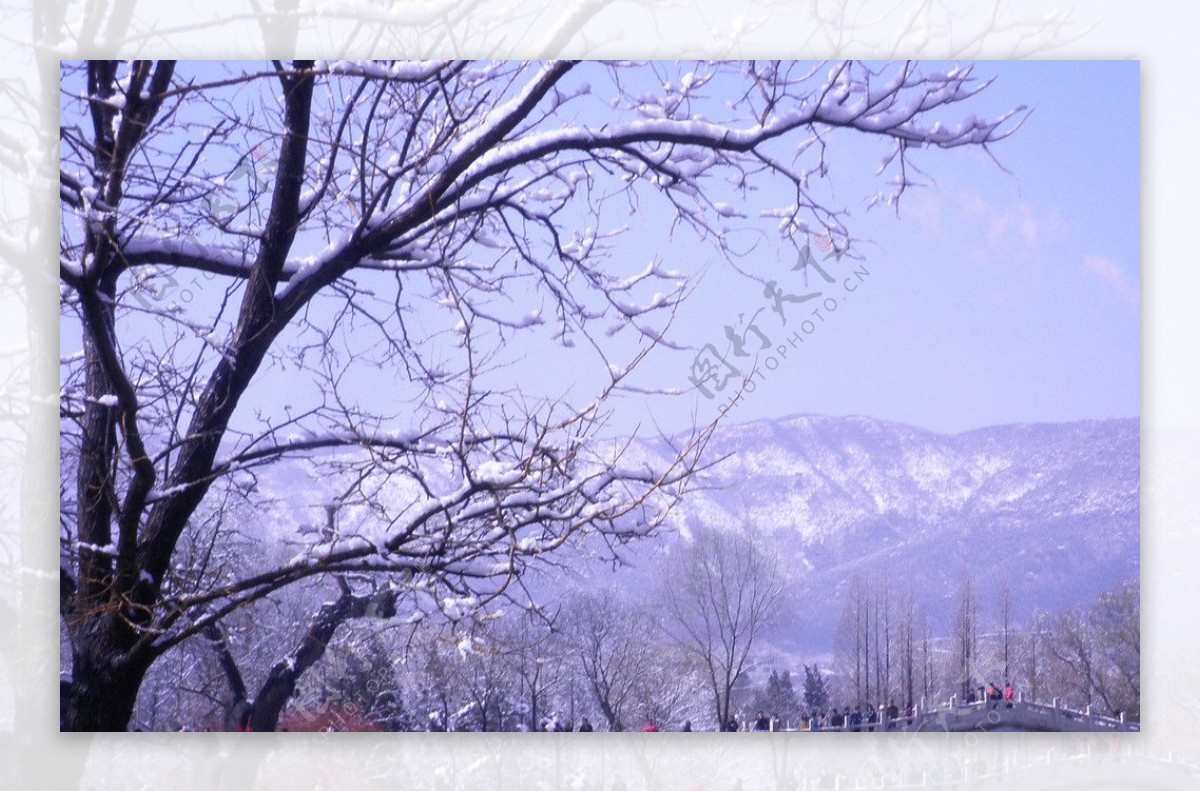 雪霁图片