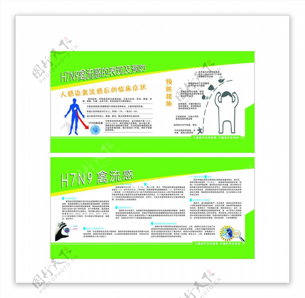 H7N9禽流感宣传栏图片