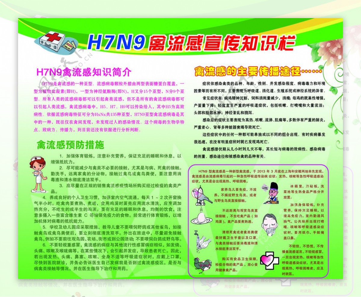H7N9禽流感宣传栏图片