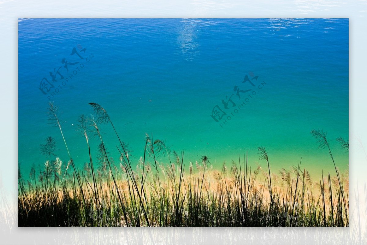 湖畔草丛图片