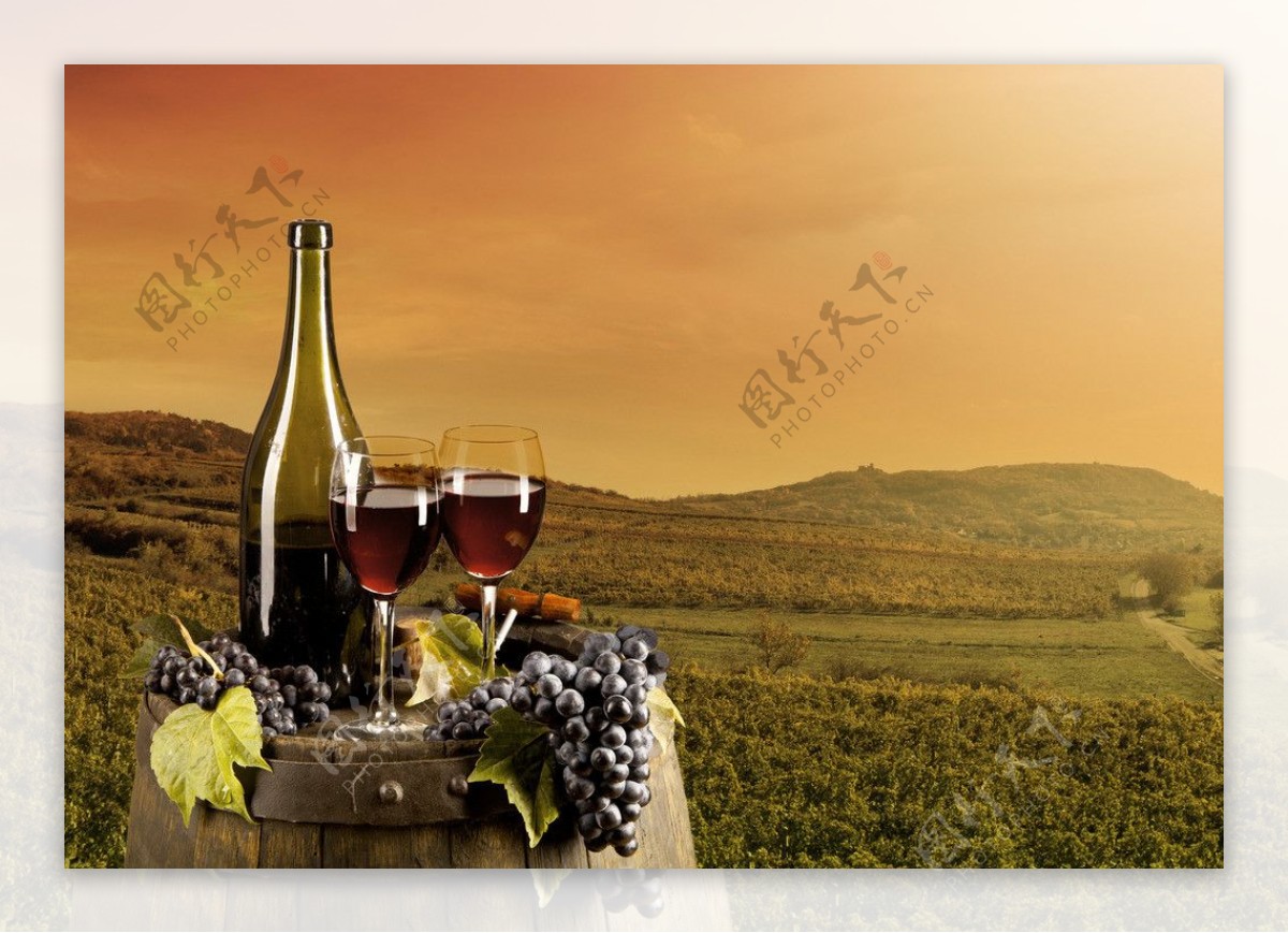 葡萄酒庄园图片