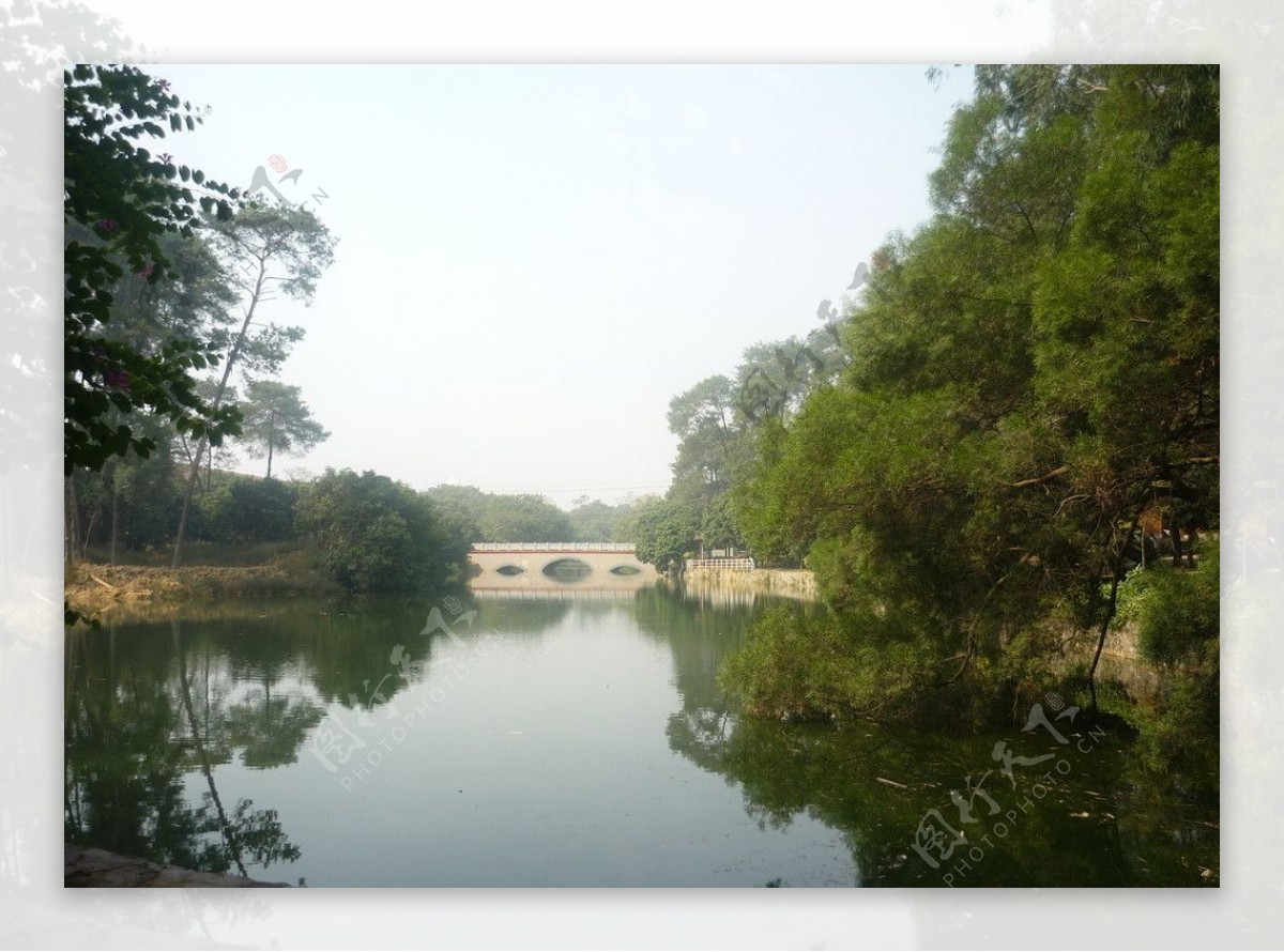 湖色绿景图片