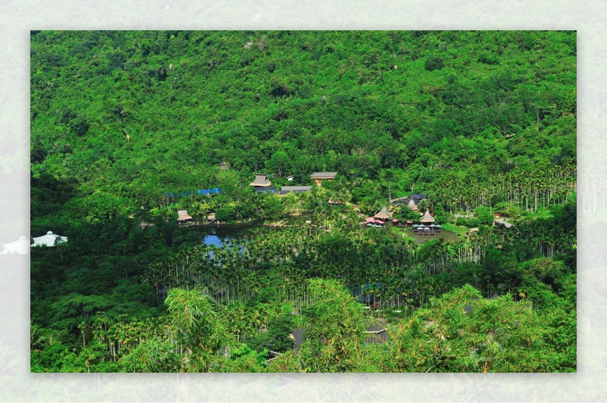 呀喏达热带雨森景区图片