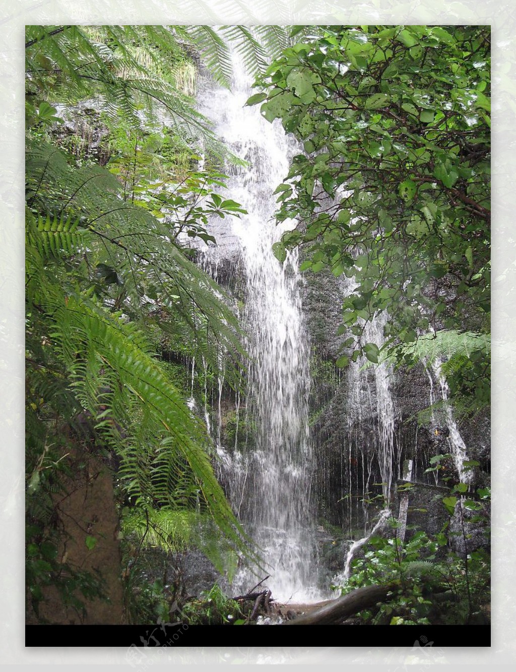新西兰的瀑布图片