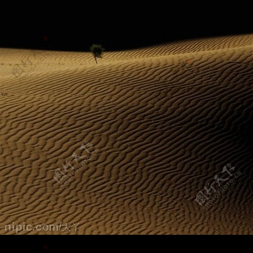 沙漠褶皱图片