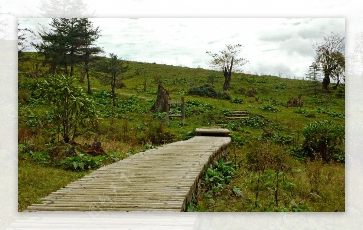 高山草原图片