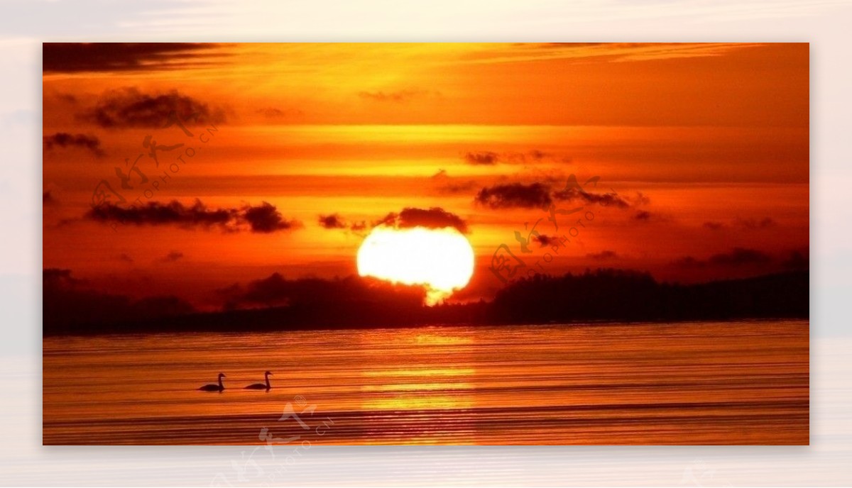 天鹅湖上的夕阳图片