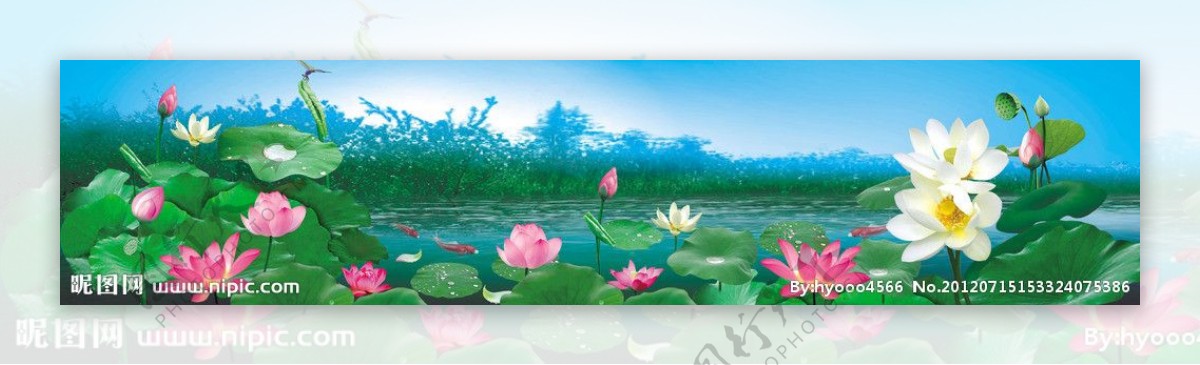 藕塘风景图片