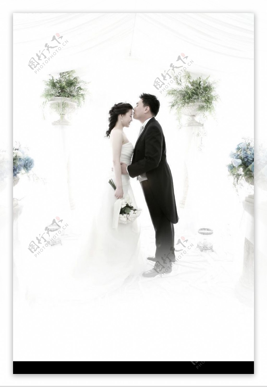 韩国结婚照图片